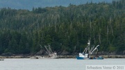 Columbia  bay, Columbia glacier, Prince William sound cruise, Alaska