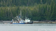 Columbia  bay, Columbia glacier, Prince William sound cruise, Alaska