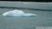 Meares glacier, Prince William sound cruise, Alaska