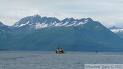 Prince William sound cruise, Alaska