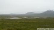 Denali Highway, Alaska