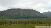 Denali Park, Alaska