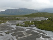 Savage River, Denali Park, Alaska