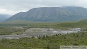 Savage River, Denali Park, Alaska