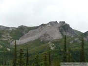 Denali Park, Alaska