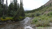 Denali Park, Alaska