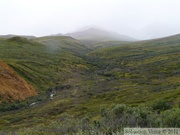 Denali Park, Alaska