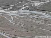 Toklat River, Denai Park, Alaska