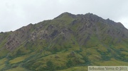 Denali Park, Alaska