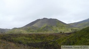 Denali Park, Alaska