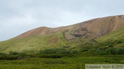 Denali Park, Alaska