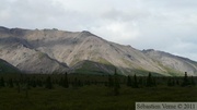 Denali Park, Alaska