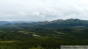 Igloo mountain hike, Denali Park, Alaska