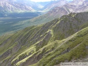 Igloo mountain hike, Denali Park, Alaska