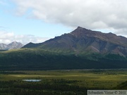 Igloo mountain hike, Denali Park, Alaska