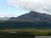 Igloo mountain hike, Denali Park, Alaska