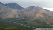 Polychrome Pass, Denali Park, Alaska