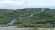 Alaskan oil pipeline, along Richardson Highway, Alaska