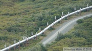 Alaskan oil pipeline, along Richardson Highway, Alaska