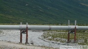 Alaskan oil pipeline, along Richardson Highway, Alaska