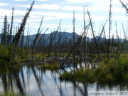 Alsaka Highway, Yukon