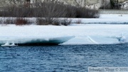 Fleuve yukon, Whitehorse