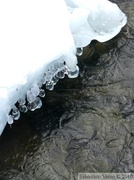 Fleuve yukon, Whitehorse