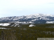 Grey Mountain, Whitehorse