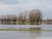 Crue de la Lys 2012 à Frelinghien (2m80)