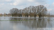 Crue de la Lys 2012 à Frelinghien (2m80)