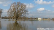 Crue de la Lys 2012 à Frelinghien (2m80)