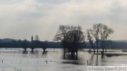 Crue de la Lys 2012 à Frelinghien (2m80)