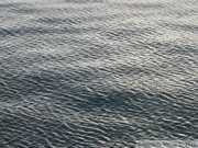 Inside Passage