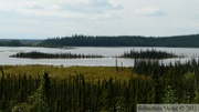 Tetlin wildlife refuge, Alaska Highway, Alaska