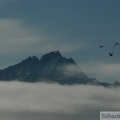 Chugach mountains, Richardson highway, Alaska