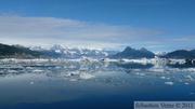 Columbia bay, Columbia glacier, Prince William sound cruise, Alaska