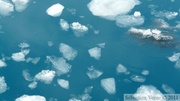 Columbia bay, Columbia glacier, Prince William sound cruise, Alaska