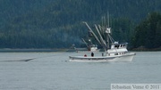 Columbia bay, Columbia glacier, Prince William sound cruise, Alaska