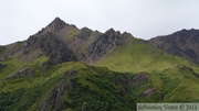 Denali Park, Alaska