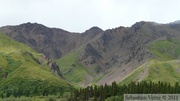 Denali Park, Alaska