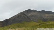 Denali Park, Alaska