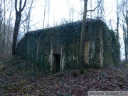 Blockhaus en forêt de Nieppe (2nde Guerre Mondiale)