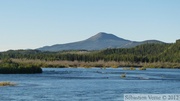 Golden Horn et le fleuve Yukon