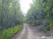 Road to Red Ridge, Yukon