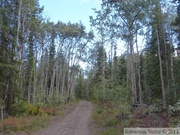 Red Ridge road, Yukon