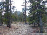 Red Ridge road, Yukon