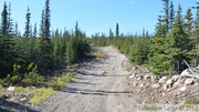 Golden Horn road, Whitehorse, Yukon, Canada