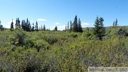 Golden Horn, Whitehorse, Yukon, Canada