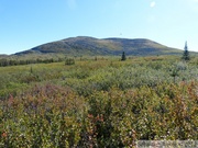 Golden Horn, Whitehorse, Yukon, Canada