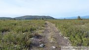 Golden Horn, Whitehorse, Yukon, Canada